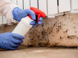 Best Mold Remediation for Rental Properties  in Ritzville, WA